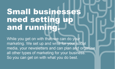 Small businesses need setting up and running